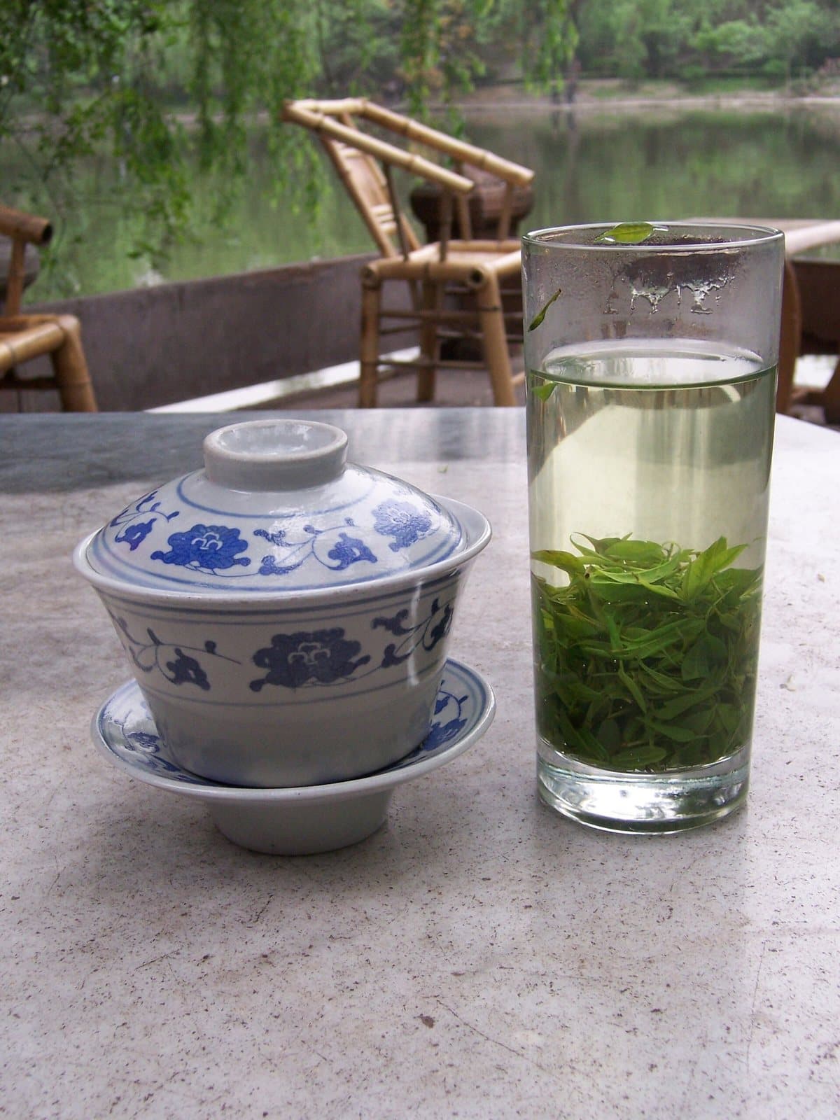Tea gardens and daily life in Chengdu People's Park — view 1