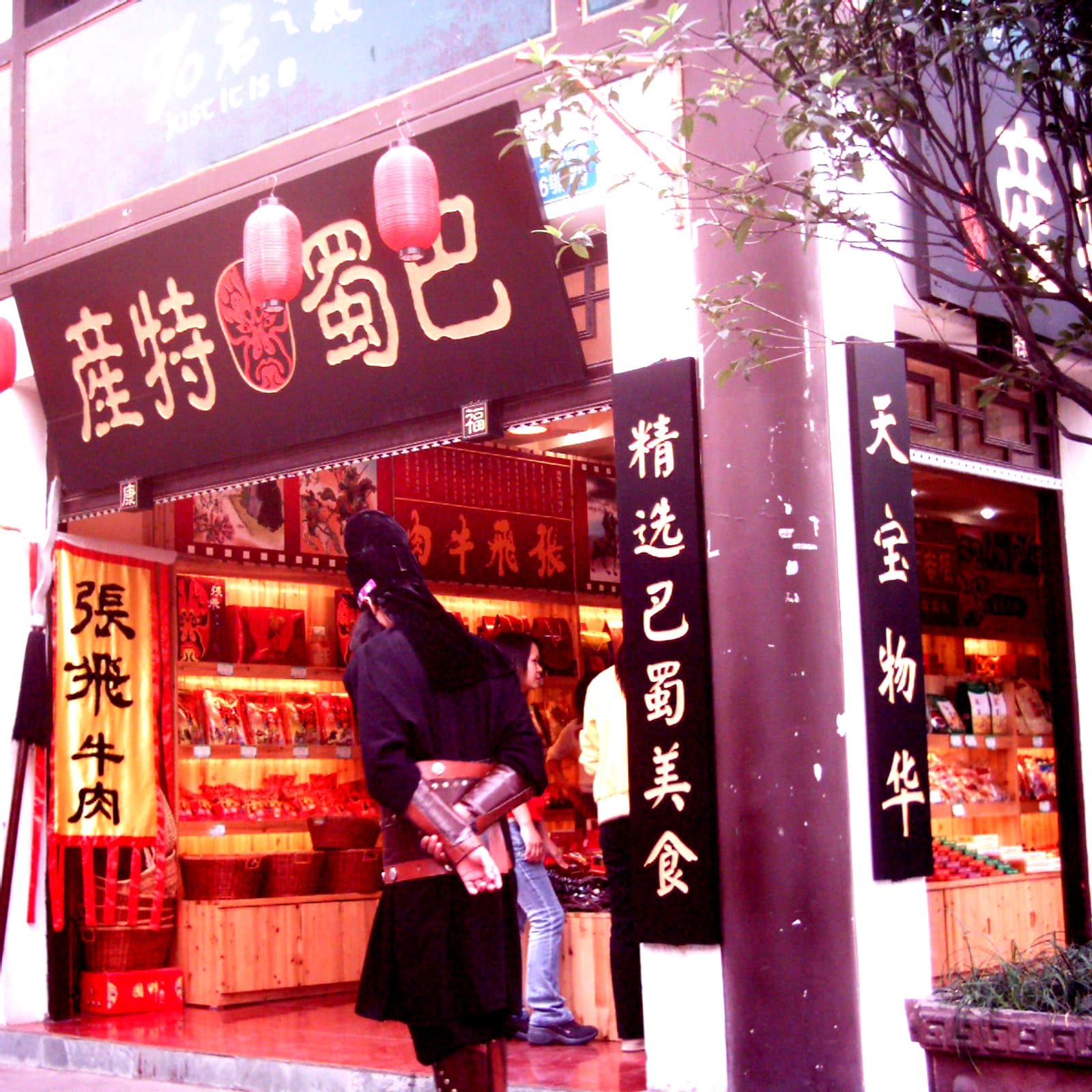 Historic lanes and traditional buildings in Ciqikou Ancient Town — view 1