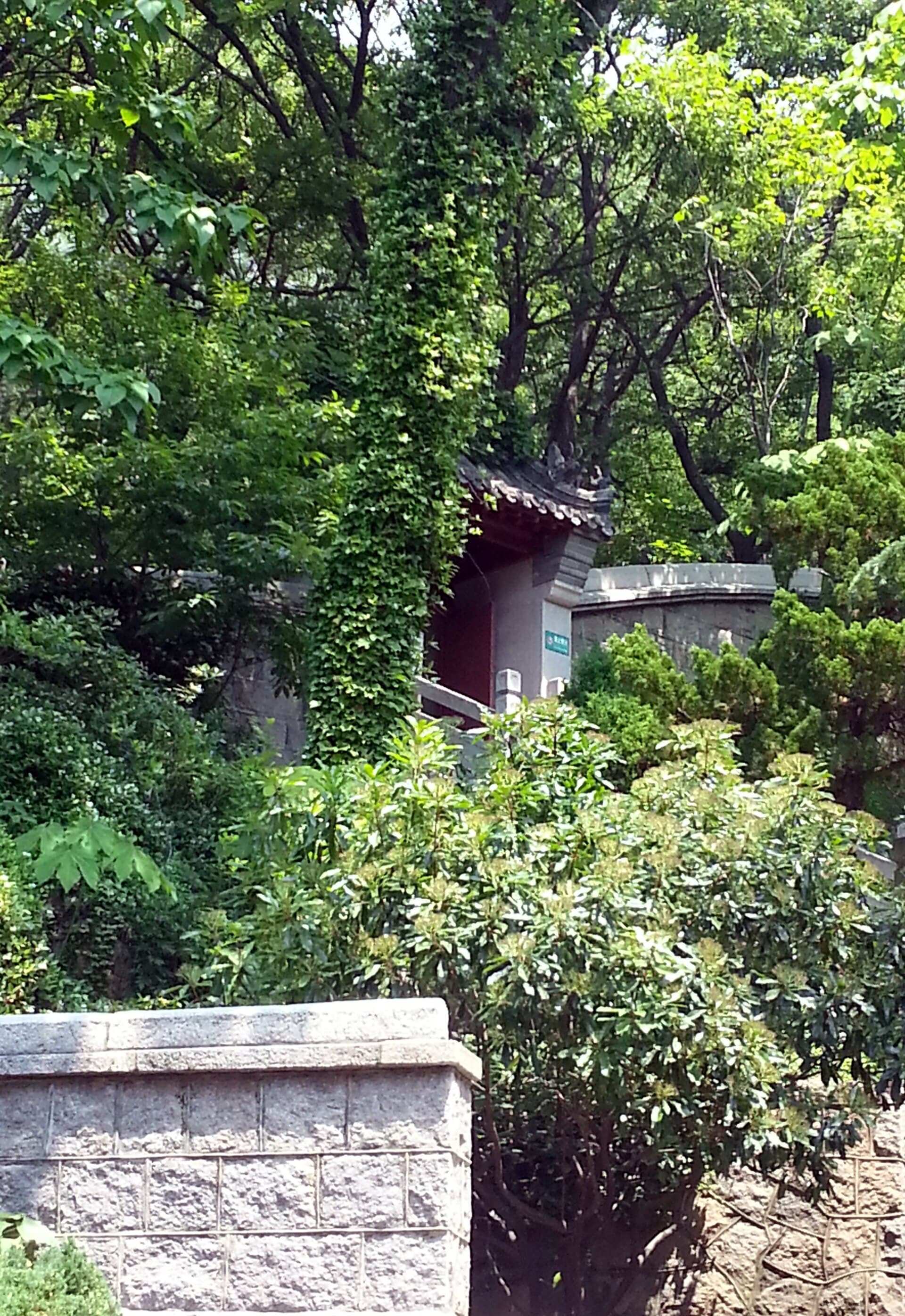 Laoshan Scenic Area — view 2