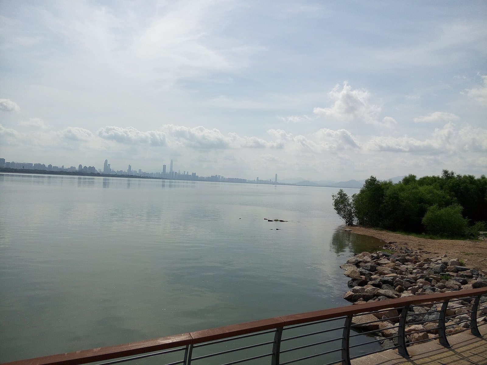 Waterfront paths and skyline views at Shenzhen Bay Park — view 2