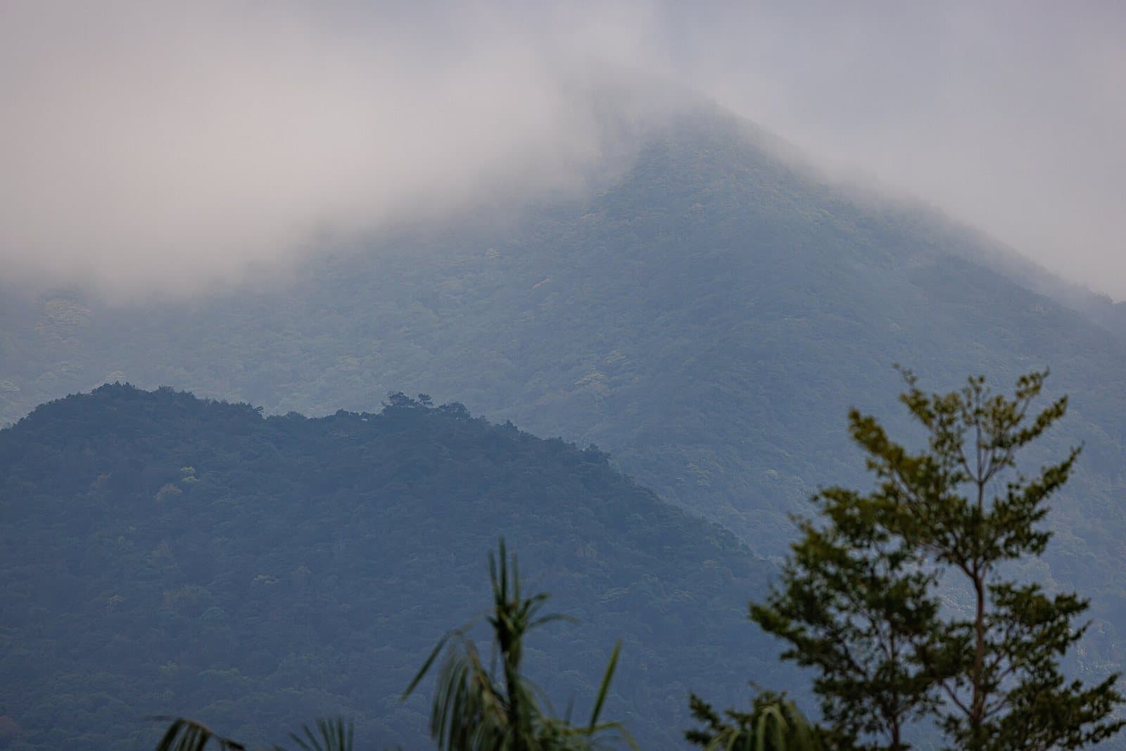 Mountain trails and views from Wutong Mountain in Shenzhen — view 3