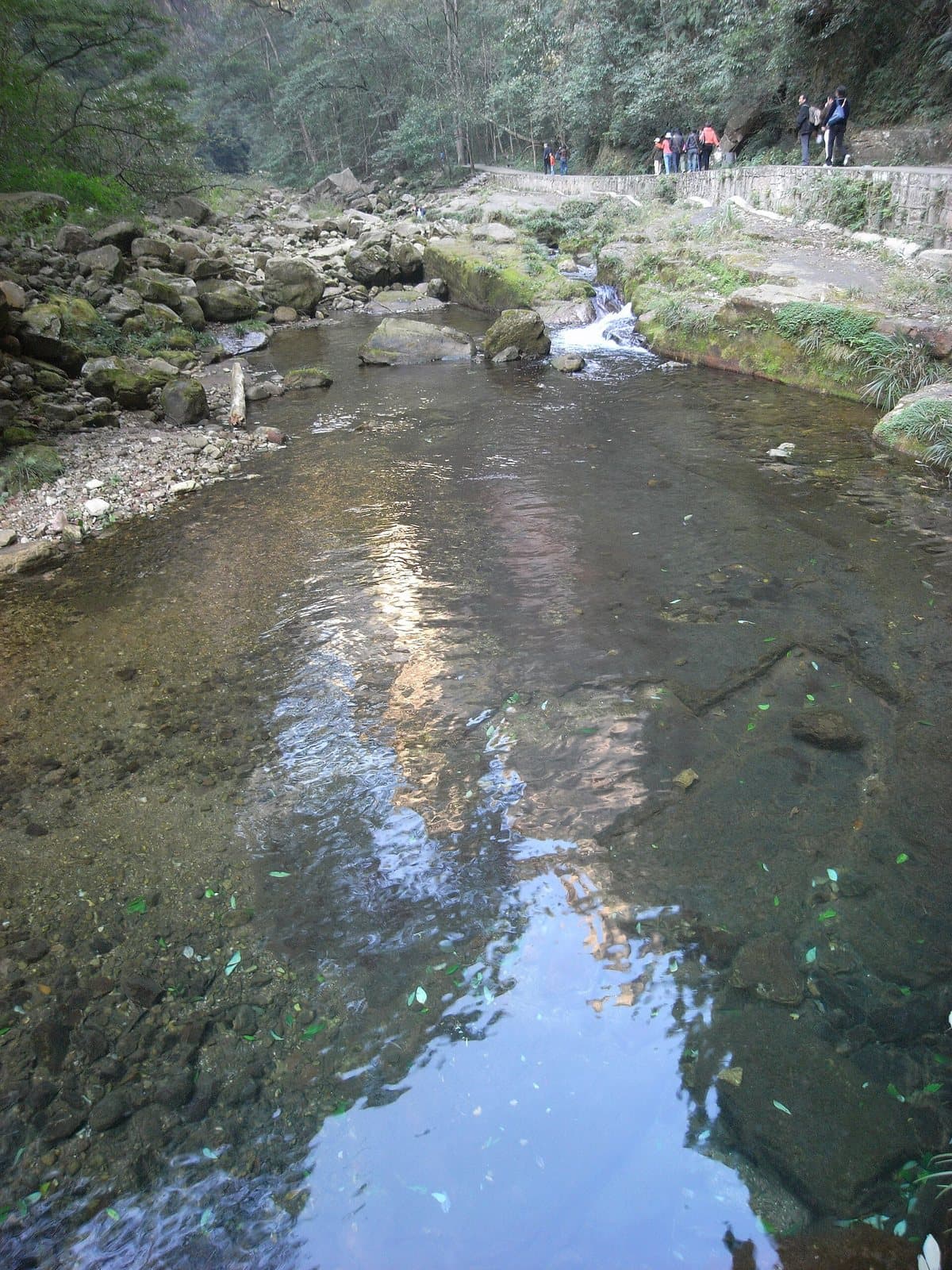 Forest paths and clear water along Golden Whip Stream — view 3