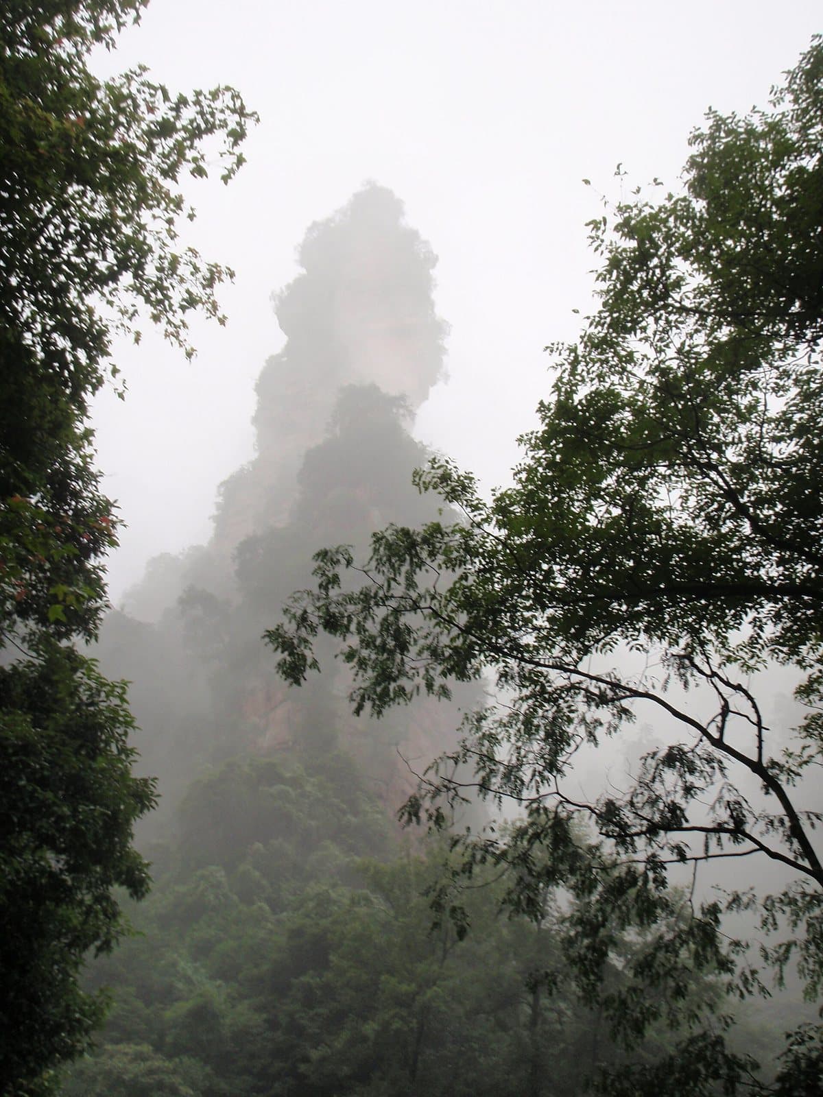 Sandstone peaks along Zhangjiajie's Ten-Mile Gallery — view 1
