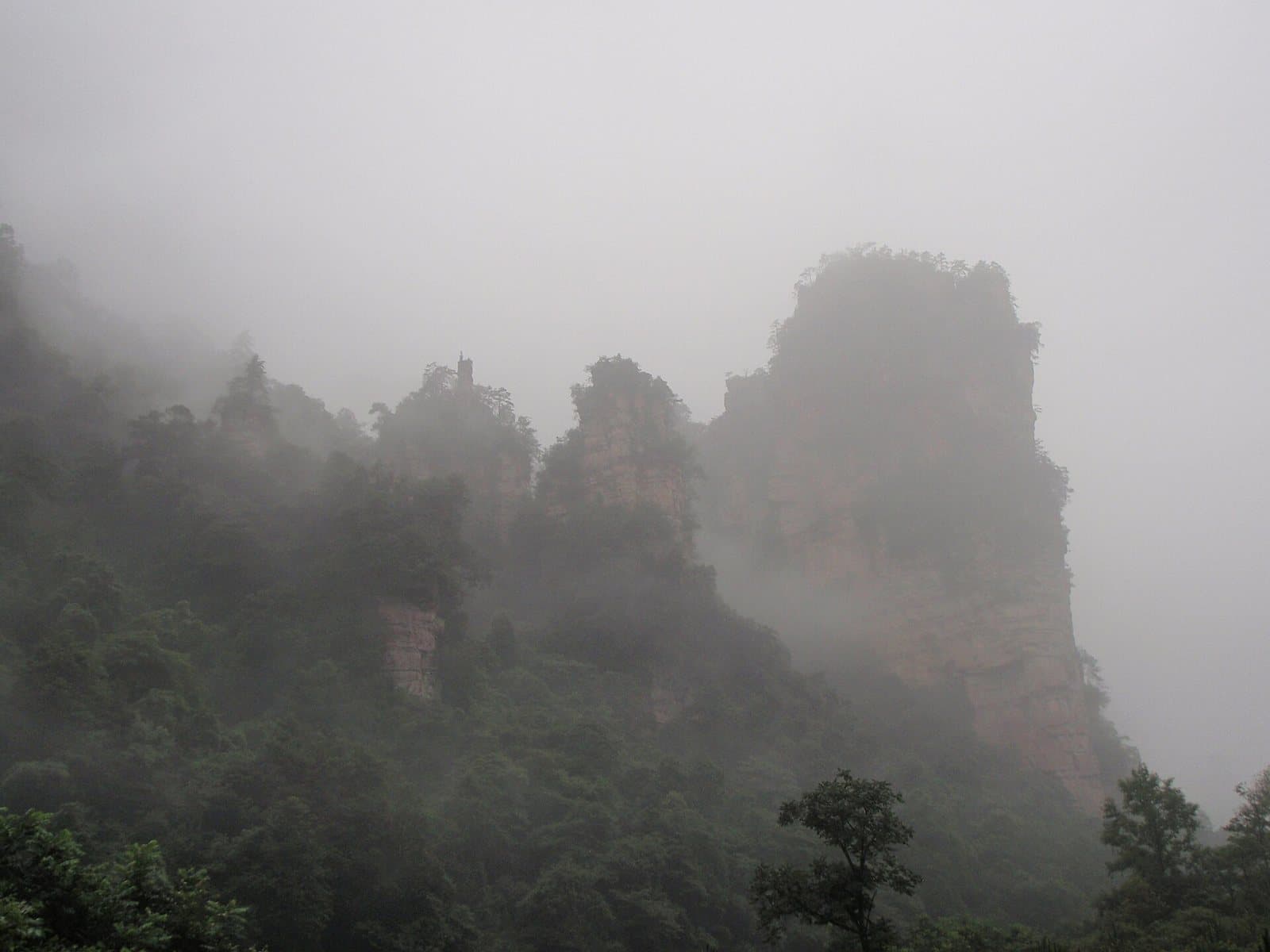 Sandstone peaks along Zhangjiajie's Ten-Mile Gallery — view 2