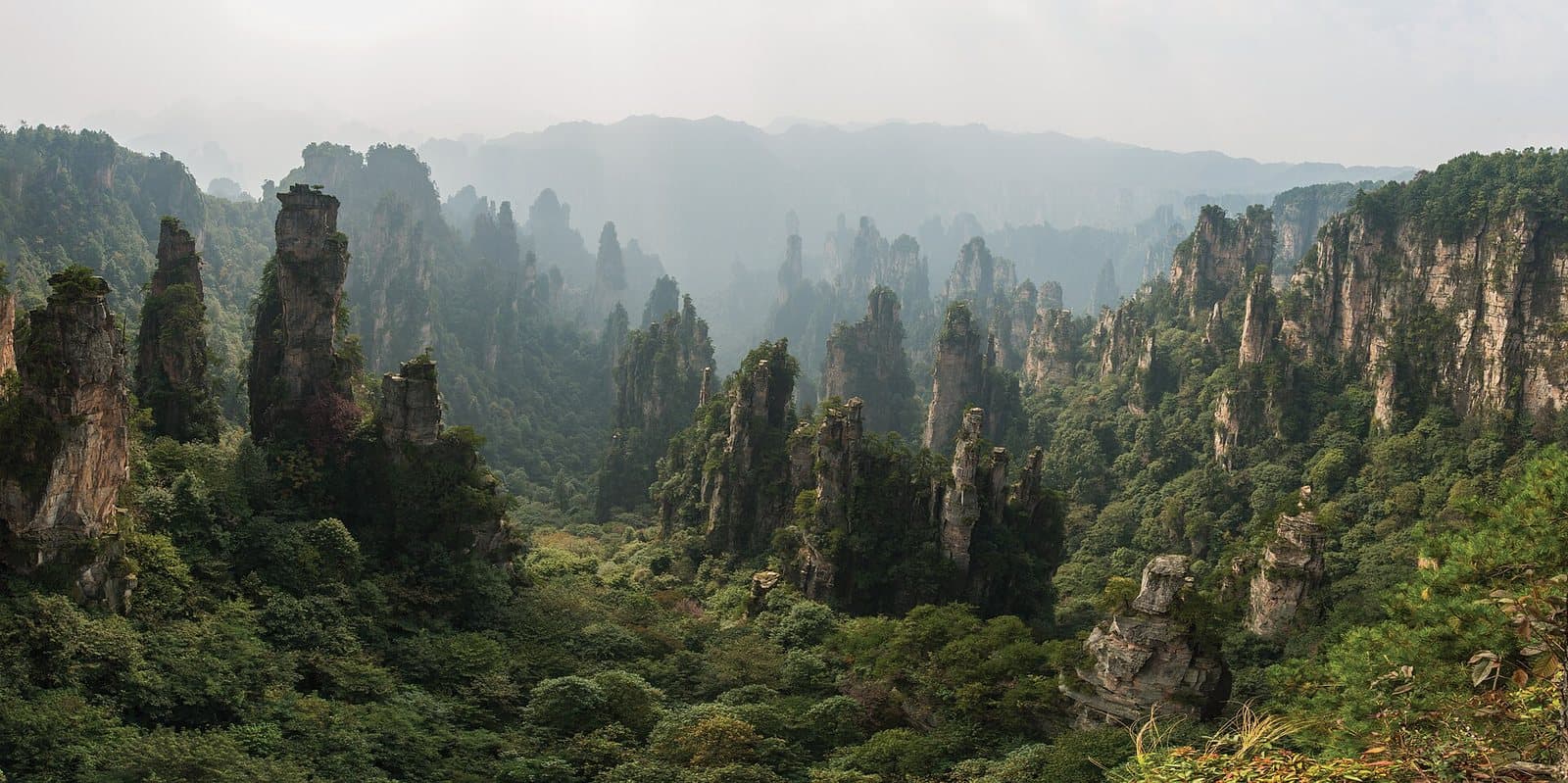 Peak forest and cloud views from Tianzi Mountain — view 1
