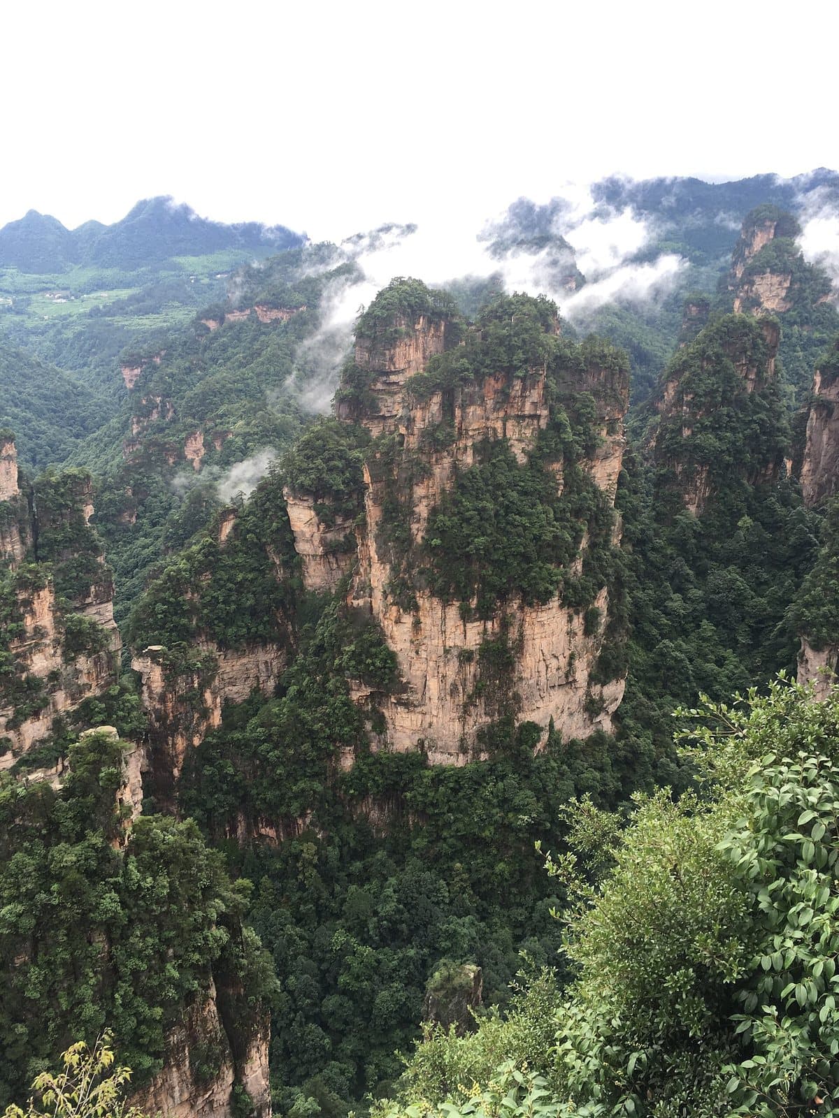 Sandstone peaks and viewpoints at Yuanjiajie — view 1