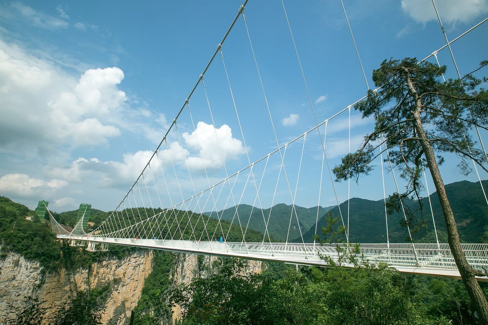 Glass bridge spanning Zhangjiajie Grand Canyon — view 2