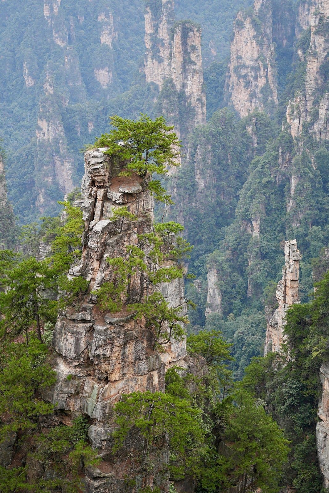 Sandstone pillars in Zhangjiajie National Forest Park — view 1