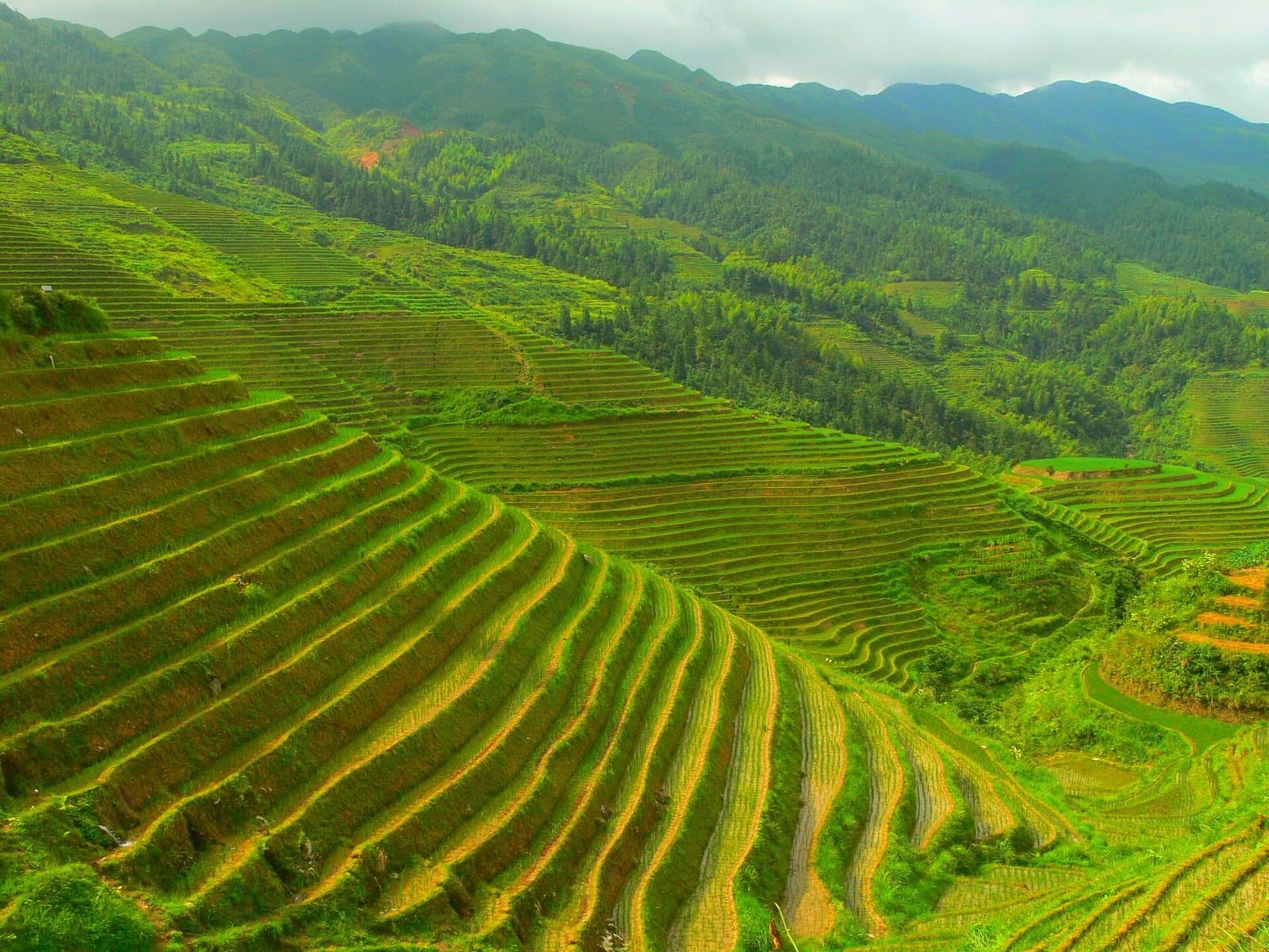 Layered rice terraces and mountain villages at Longji — view 3