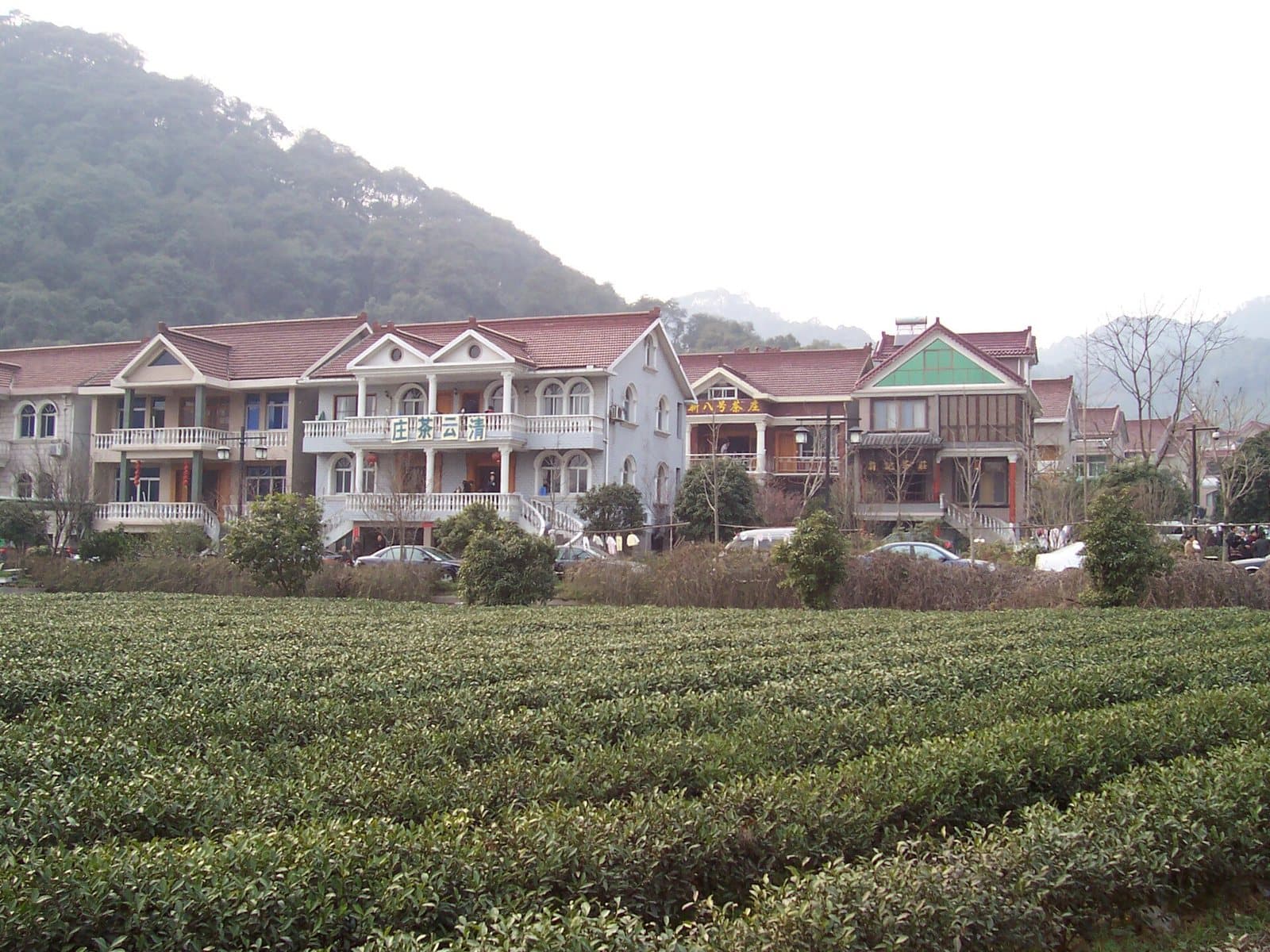 Tea fields and village scenery in Longjing, Hangzhou — view 1