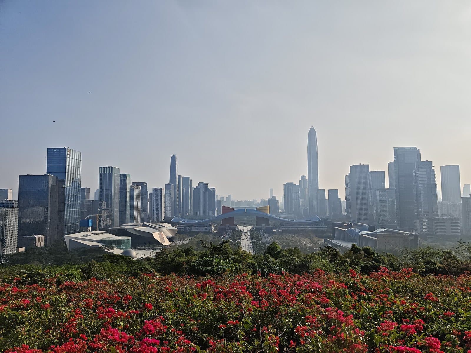 Shenzhen Civic Center skyline from Lianhuashan Park — view 2