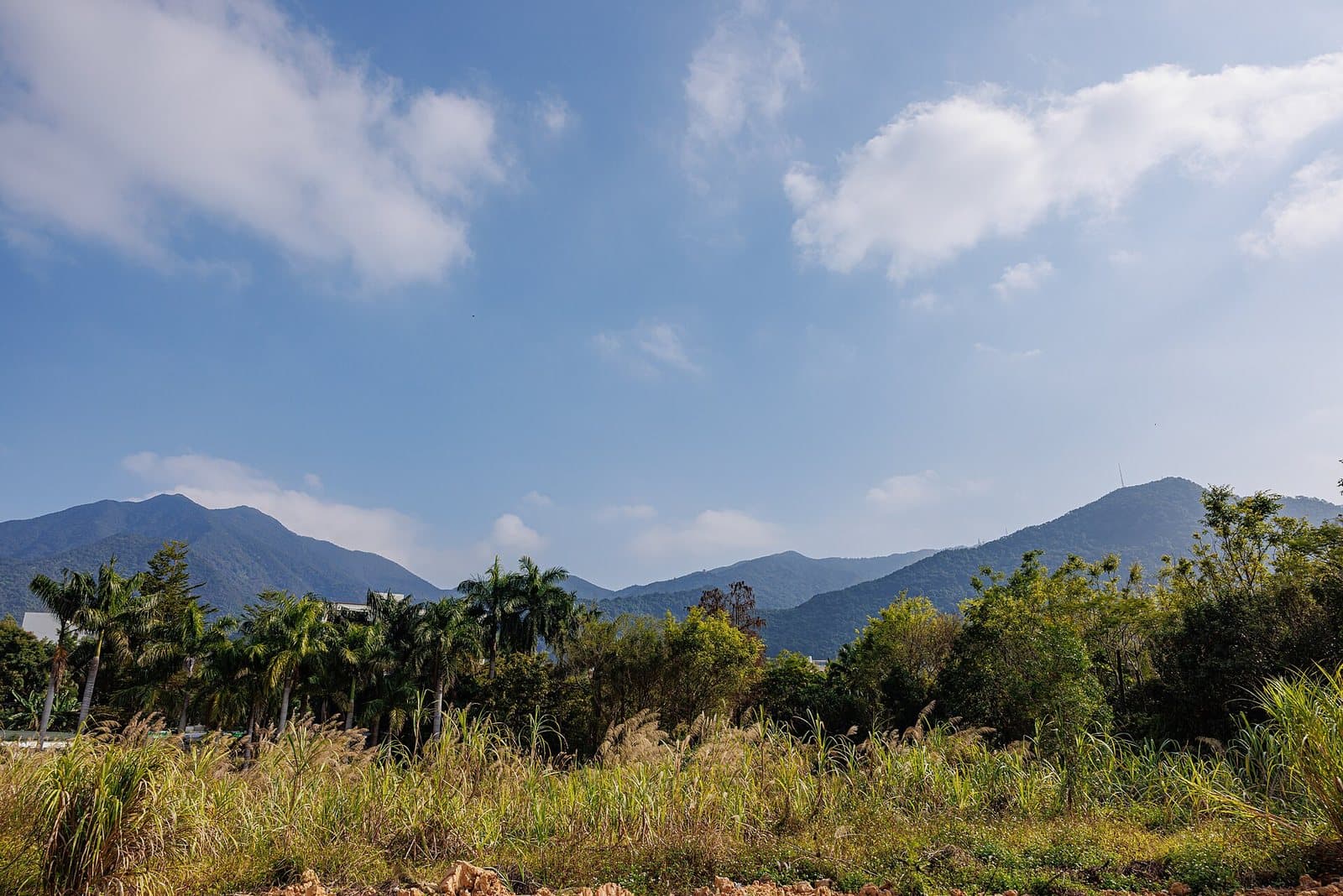 Mountain trails and views from Wutong Mountain in Shenzhen — view 1