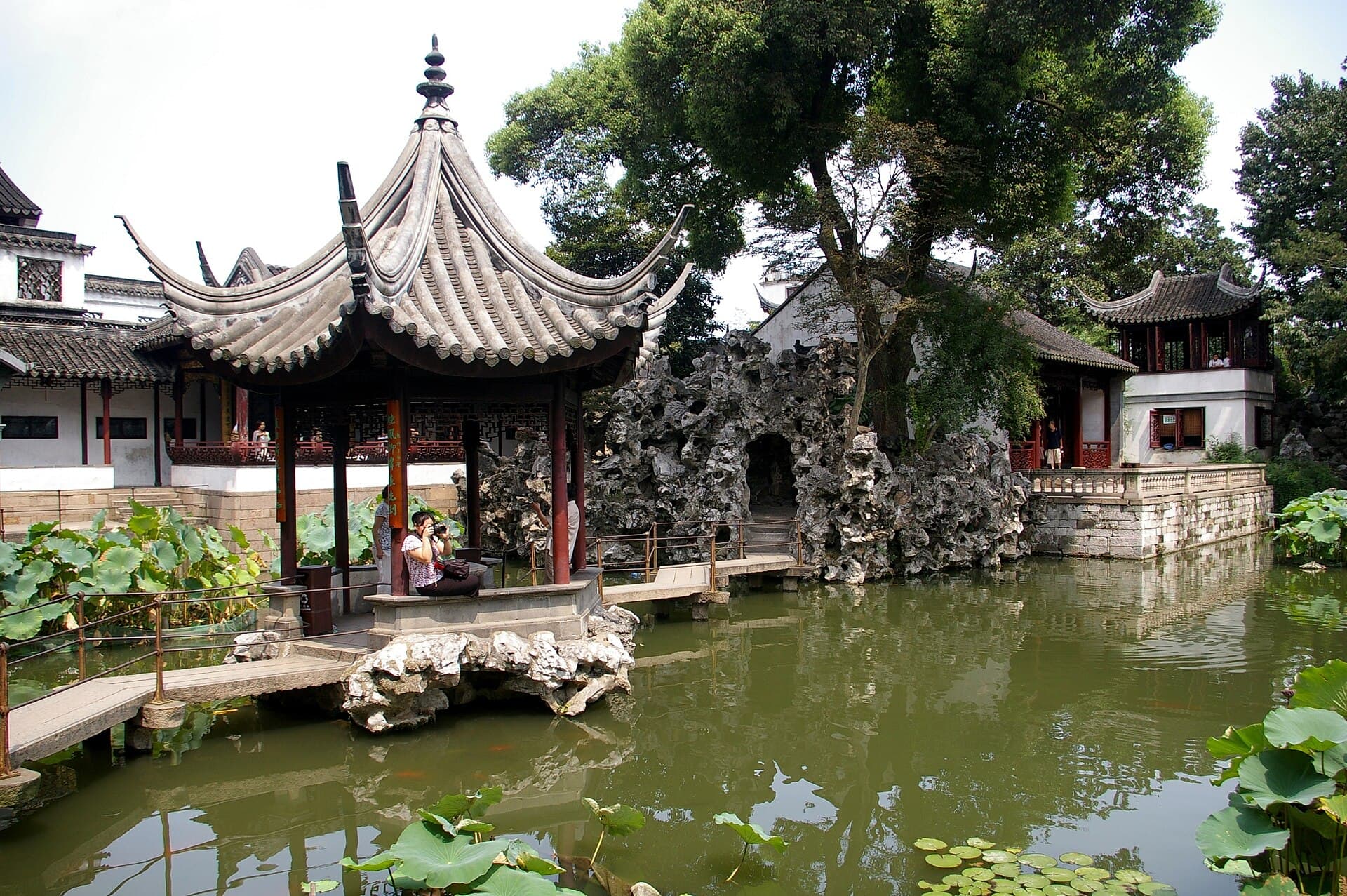 Lion Grove Garden — view 3